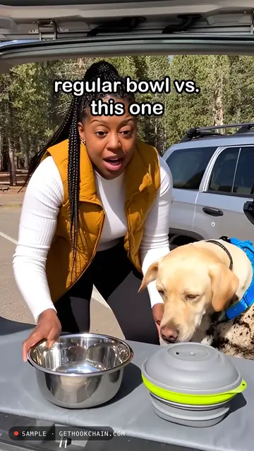 Regular bowl vs. no-spill bowl: the car test