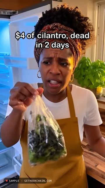 Why your fresh herbs die in the fridge